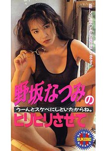  発売　野坂なつみのヒリヒリさせて　